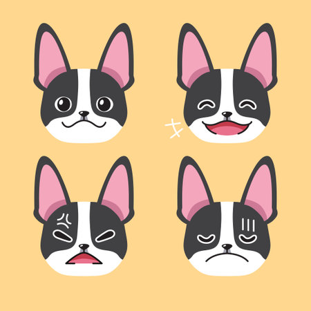 Set of character boston terrier dog faces showing different emotions for design.のイラスト素材