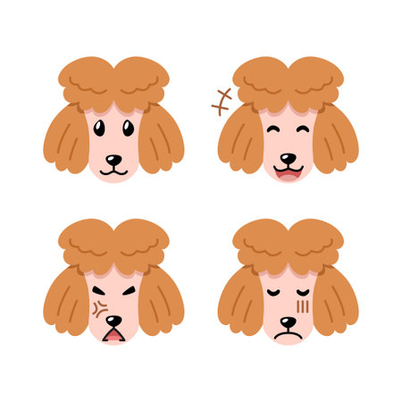 Set of character cute poodle dog faces showing different emotions for design.のイラスト素材