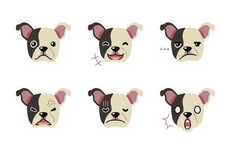 Set of character boston terrier dog faces showing different emotions for design.のイラスト素材