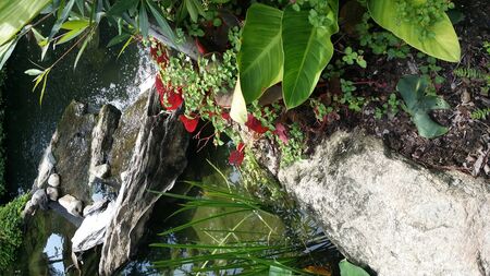 the natureの写真素材