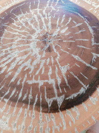 fungus on a piece of clay as a background. macroの写真素材