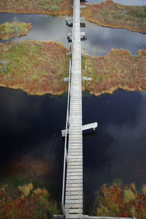 wooden boardwalk through the hags in the bogの写真素材