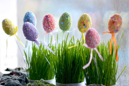 easter eggs in green grass by the windowの写真素材