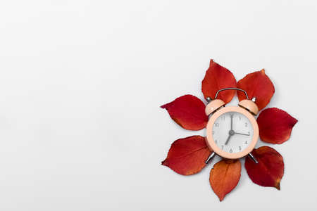 The alarm clock is lying on the autumn leavesの写真素材