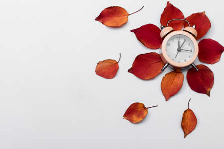 The alarm clock is lying on the autumn leavesの写真素材