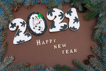 Happy new year 2021. Gingerbread Cow or bull. Top view. Year of the bull. Branches of spruce on a brown background.の写真素材