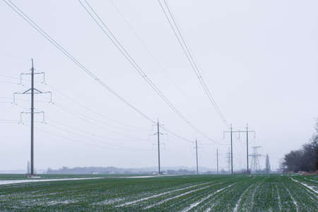 Power lines of receding into the distance. Perspective of the tower high-voltage power lines and a field sown with winter wheat in winter.の写真素材