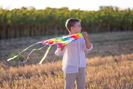 Flying rainbow kite in the hands of a boy.