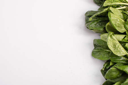 Spinach leaves on a white background on the right. Banner. mock upの写真素材
