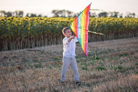 Happy little boy running with colorful kite in handsの写真素材