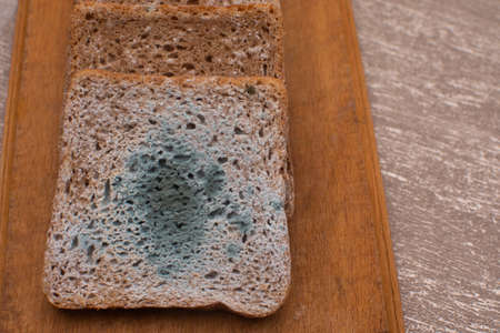 bread with green mold on a wooden board.の写真素材