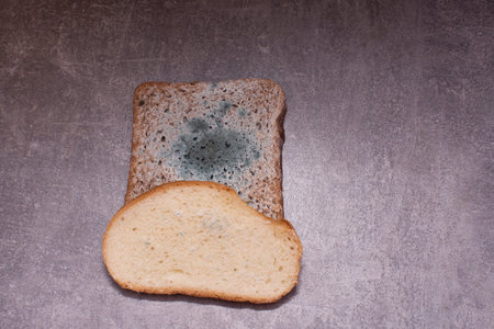 moldy bread, black and white slices, on a gray background.の写真素材