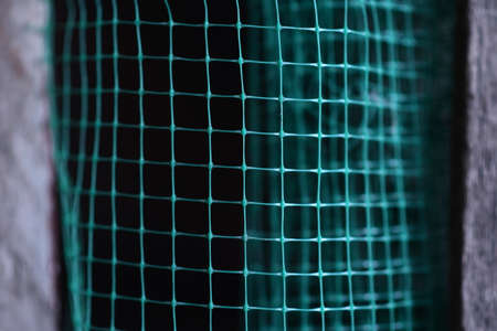 geometrically distorted texture grid. green grid background. Selective focus.の写真素材