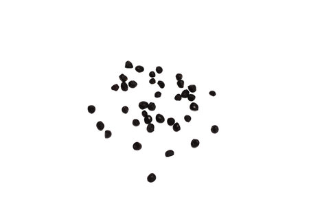 Tree peony seeds on a white background.