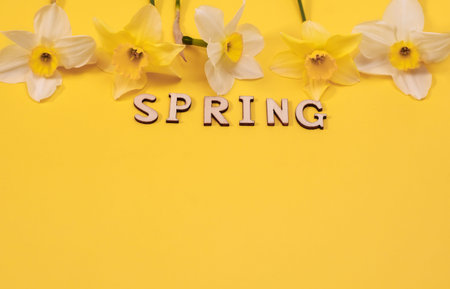 The inscription Friday is spring in wooden letters. Daffodil flowers on a yellow background. Layout....