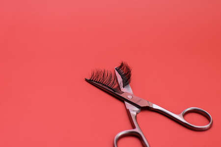 Magnetic fake artificial eyelashes on scissors. on a red background.の写真素材