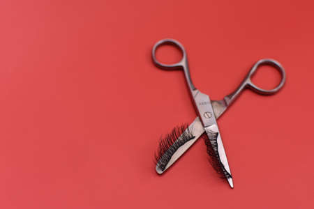 Magnetic eyelashes and scissors on a red background.の写真素材