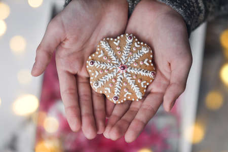 New Years gingerbread in the hands of a girl.の写真素材