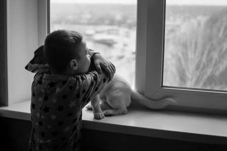 a boy hugs a dog near the apartment window.の写真素材