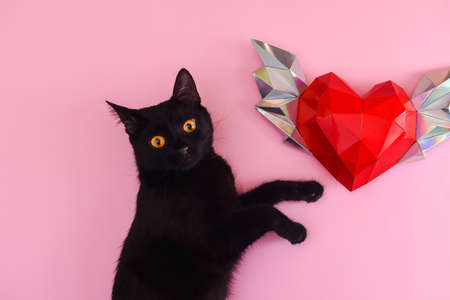 Red polygonal paper heart with wings. A black cat on a pink background.の写真素材
