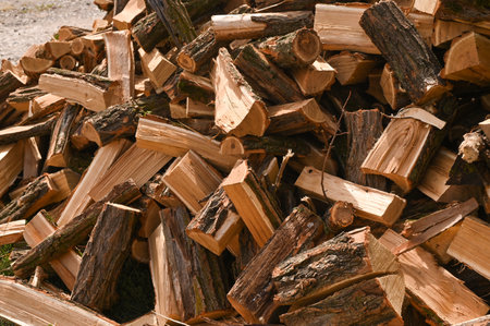 Ecological fuel made of natural wood.の写真素材