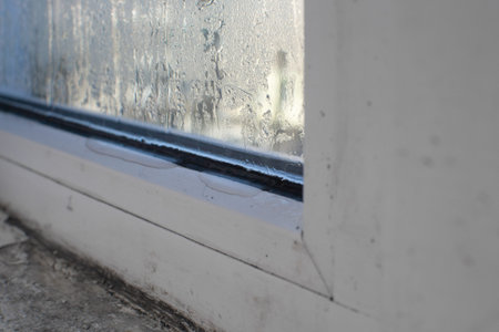 a fragment of wet window glass with water droplets. due to moisture, mold forms and the window sill...