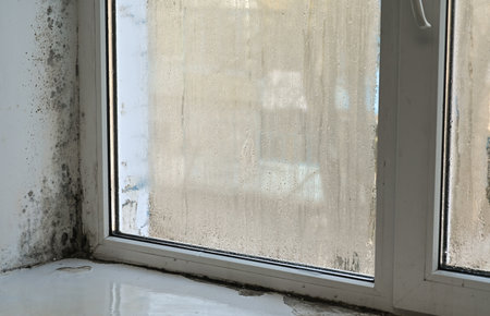 Mold on the window in the apartmentの写真素材