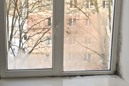 mold on the window in the apartment. wet fogged glass due to humidity and a fungus forms.の写真素材