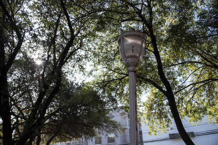 Street lampの写真素材