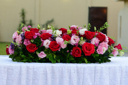 colorful rosesの写真素材