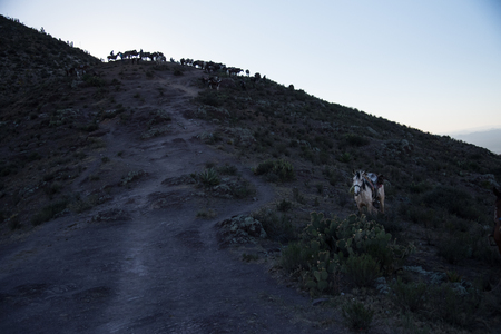 Real de 14の写真素材