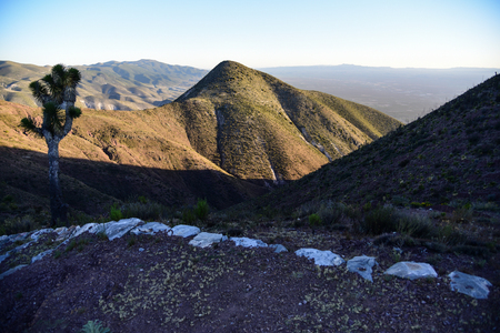 Real de 14の写真素材