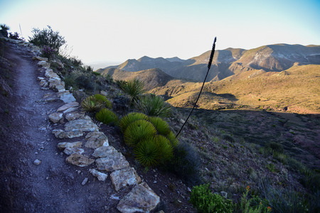 Real de 14の写真素材