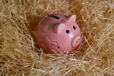 Piggy money box in hay. Pink piggy bank in dry fodderの写真素材