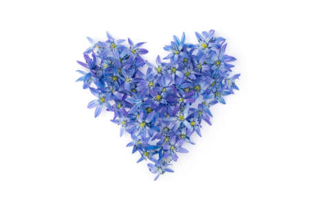 Heart shape of blue spring flowers. Valentine's day or Mother's day theme.の写真素材