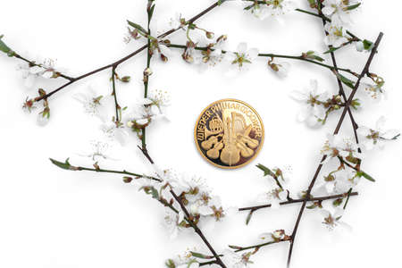 Gold bullion coin with white blossoming branch frame on light backgroundの写真素材
