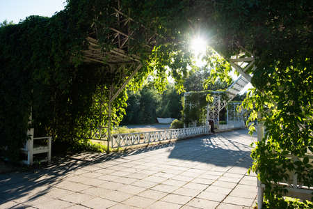 PÃ¤rnu, Estonia - July 11, 2021: Beautiful and unique pergola covered with green vines in PÃ¤rnu Rannapark in summer.のeditorial素材