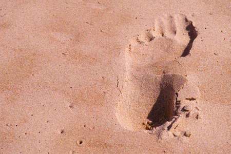 A man's footprint on the beach. Human male footprint in the sand.の写真素材
