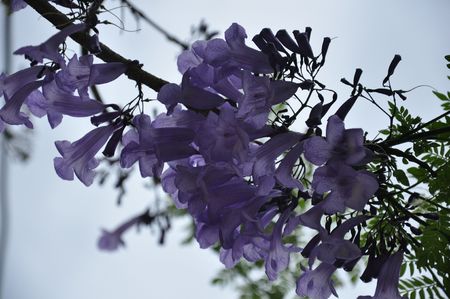 Phulay Bay A Ritz Carlton Reserve  Krabi Thailandの写真素材