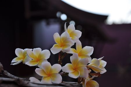 Phulay Bay A Ritz Carlton Reserve  Krabi Thailandの写真素材