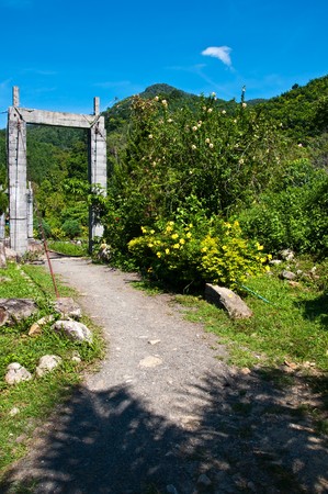 pathの写真素材