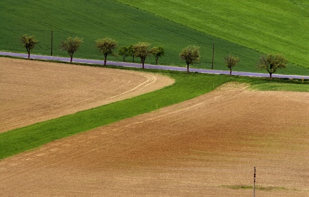 spring landscape - fields and meadowsの写真素材