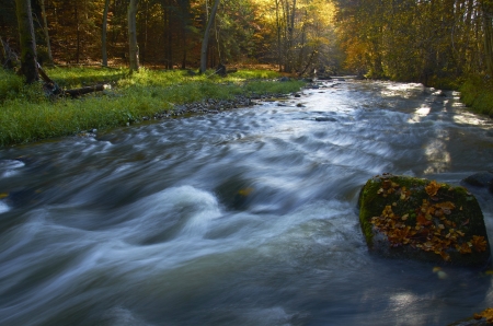 Beautiful mountain creek in autumn の写真素材