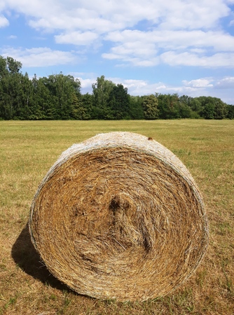 Circle of Hay on a Green Meadowの写真素材