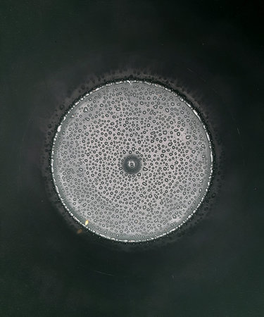 Raindrops inside a barrel after small rain.