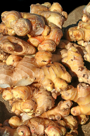 Freshly picked ginger ready for the kitchen.