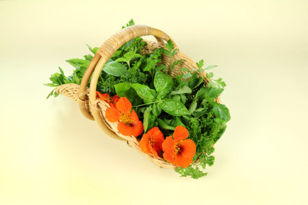 Basket of freshly harvested herbs straight from the herb garden.の写真素材