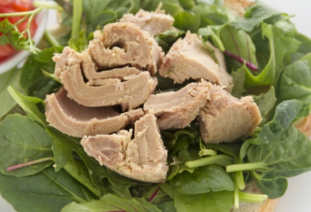Delicious freshly prepared open tuna salad sandwich with tomato.の写真素材