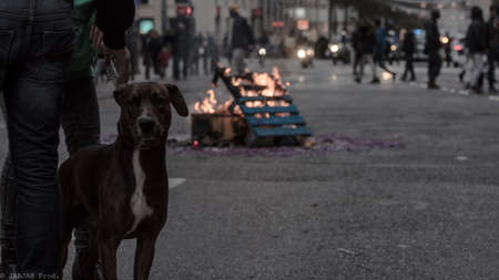End of the world in Marseilleの写真素材