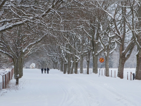 Snowy dayの写真素材